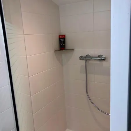 Apartment T2 En Duplex & Terrasse Saint-Priest (Rhone)